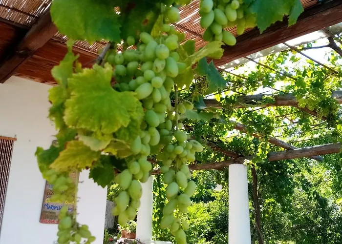 Agriturismo Solemare
