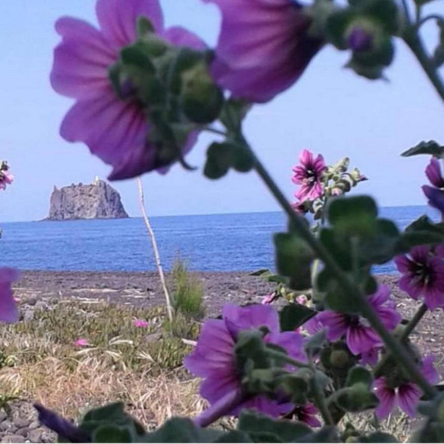 Farm stay Solemare Stromboli
