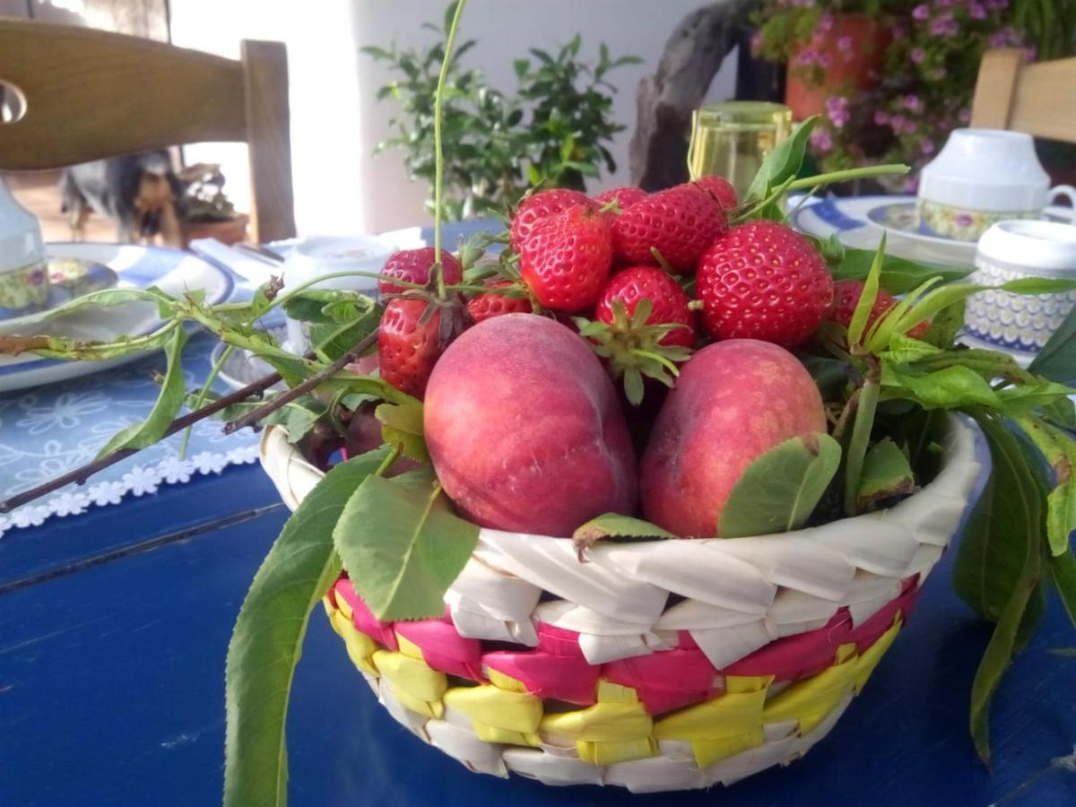 Farm stay Solemare