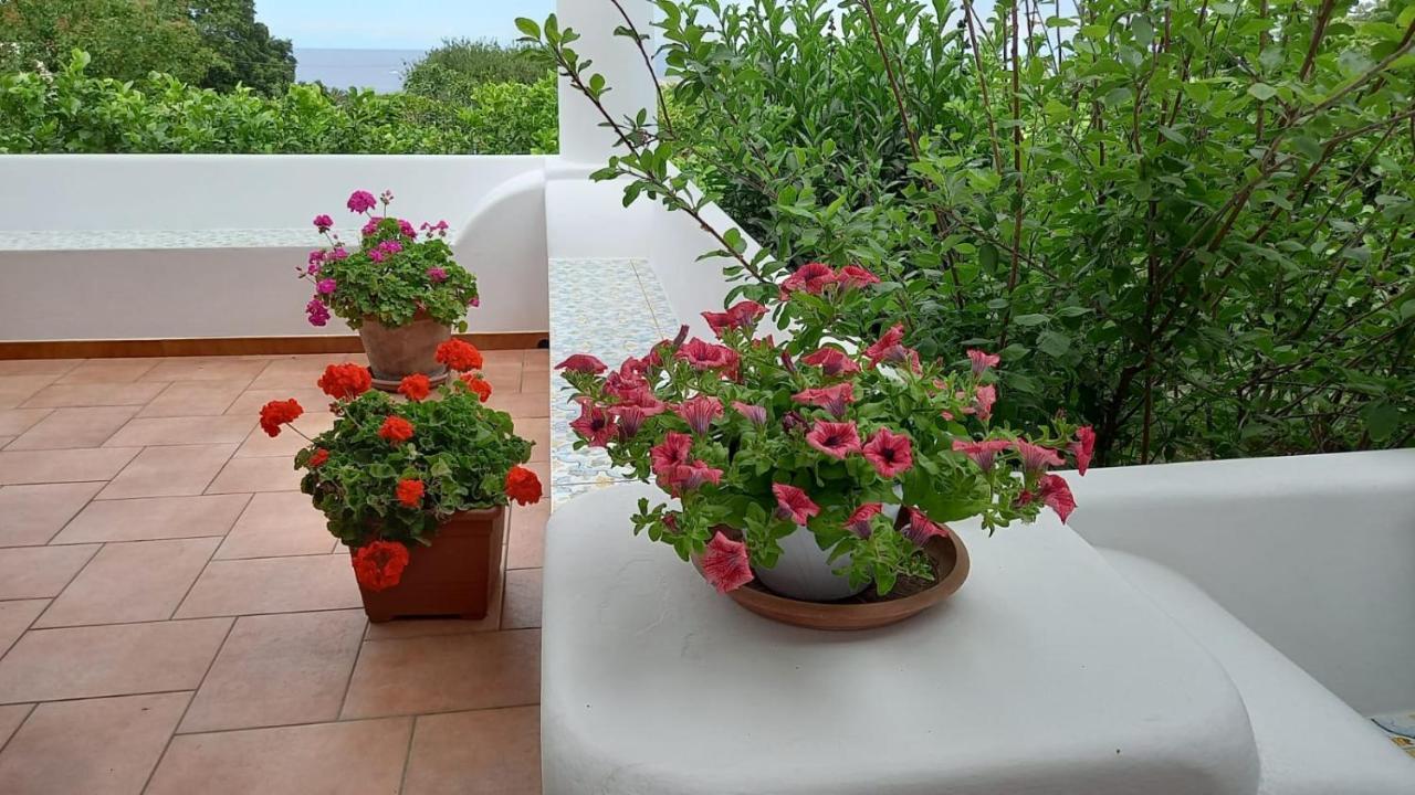 Solemare Agroturismo